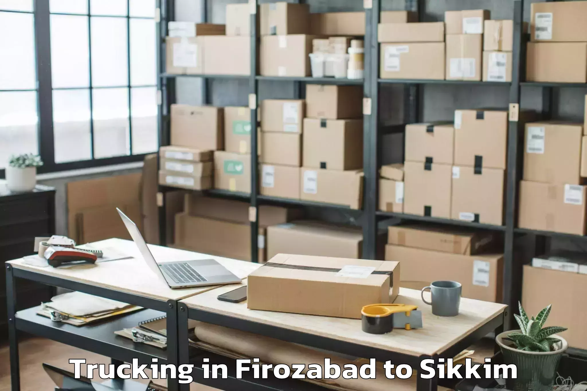 Trusted Firozabad to Sikkim Manipal University Gang Trucking